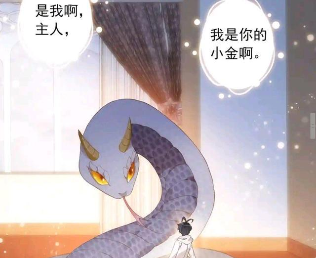 漫画《光之子》小金因祸得福进化成功,长弓威决心不能惹怒迪老师