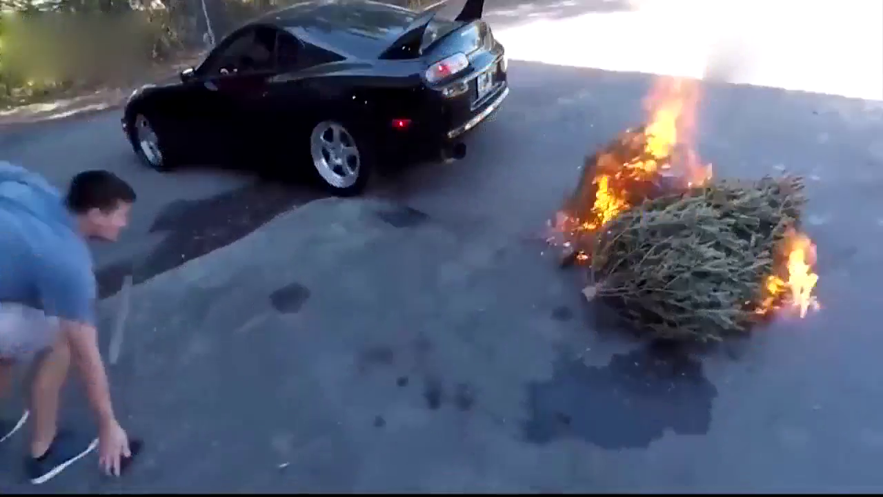 跑车排气管后面放一棵树，一脚油门树分分钟着火了！