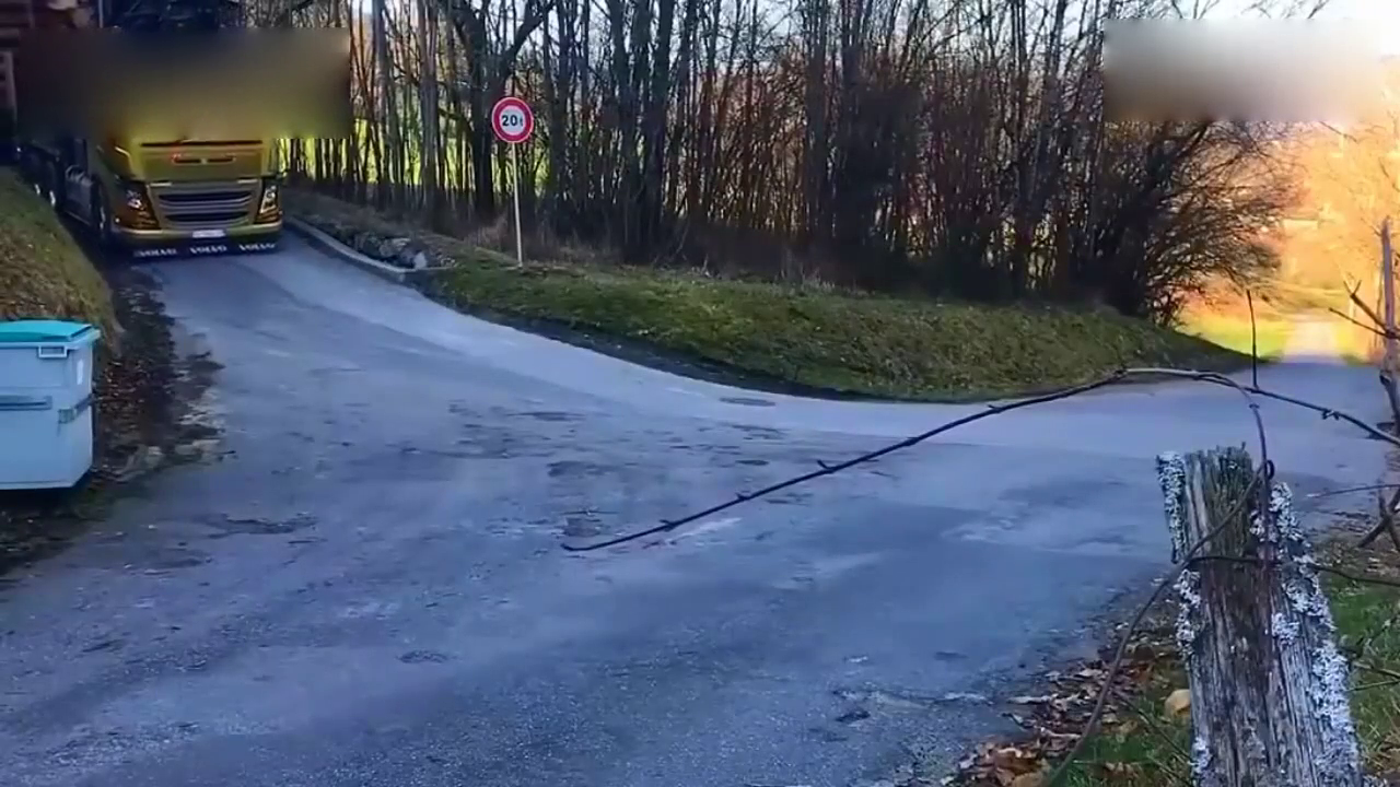 最佳伐木卡车司机过急弯