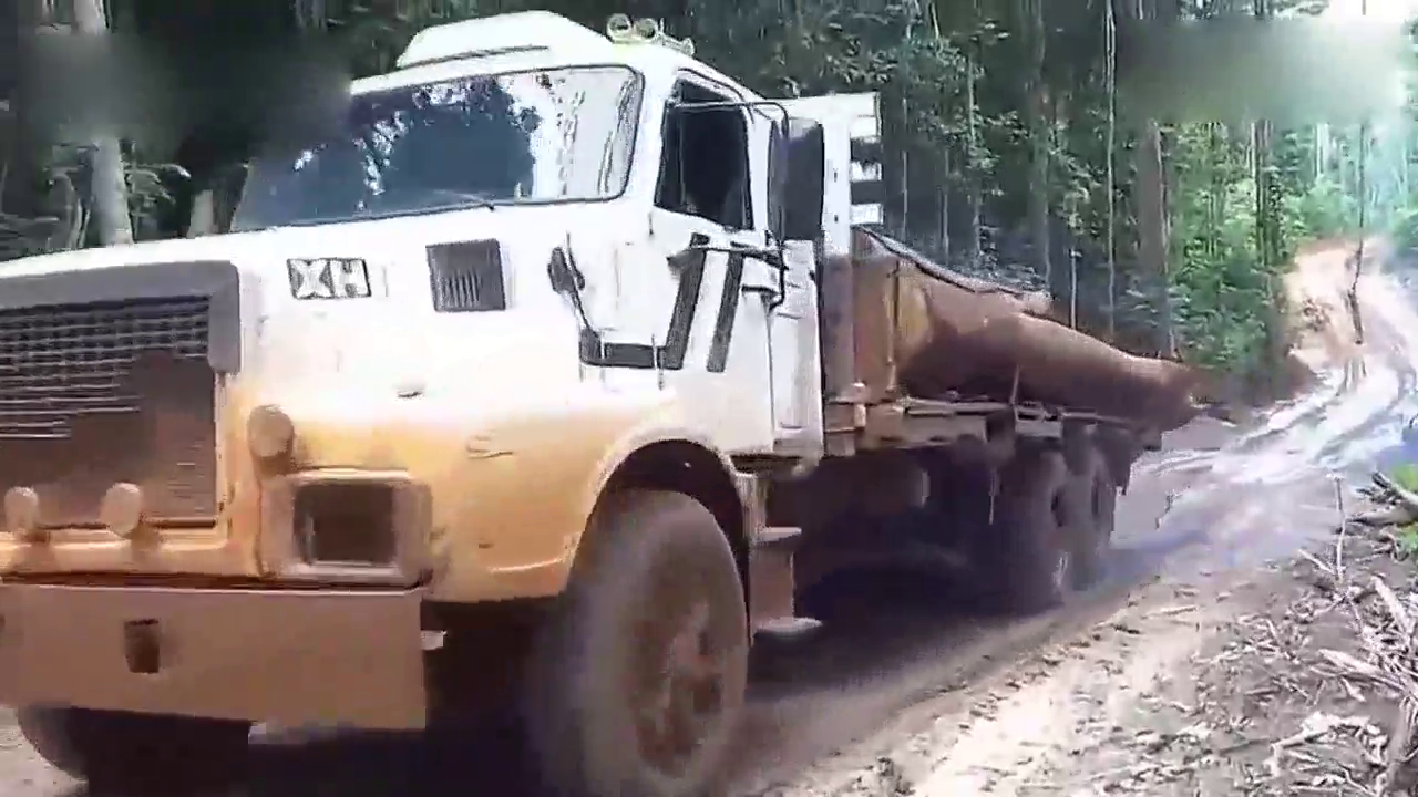 最佳伐木卡车危险的极端领域