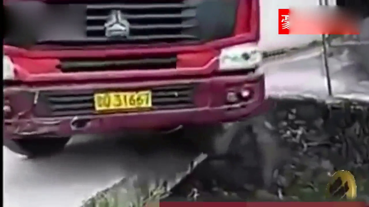 开着卡车玩漂移 盘点全世界最厉害的老司机