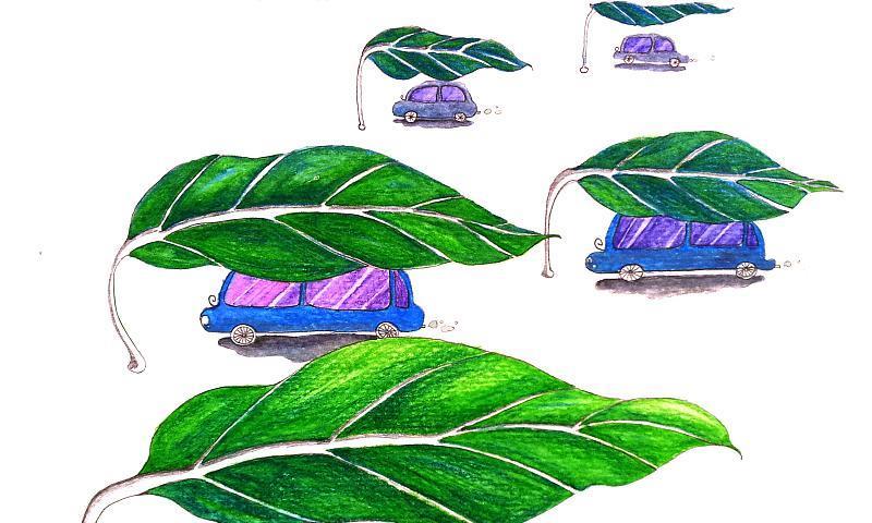 春季来到   怎样爱你的车