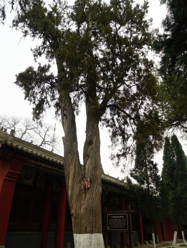 勉县武侯祠为何会成为“中华第一武侯祠”