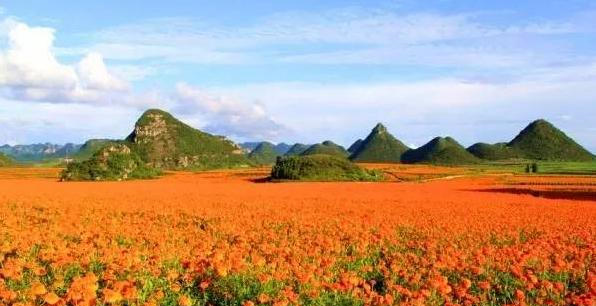 冬季周边游：罗平峰林，大海草山，清溪水库，白沙古镇