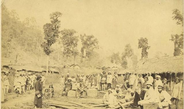 在近代,中国茶为什么被印度茶和锡兰茶击败