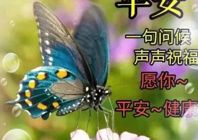 最新版幸福暖心的漂亮问候图片,最新早上好祝福问候语