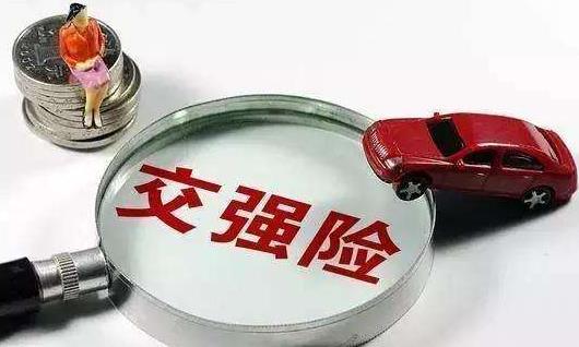 买车险这四种就可以了，其他的保险不要买！新手：现在知道不算晚