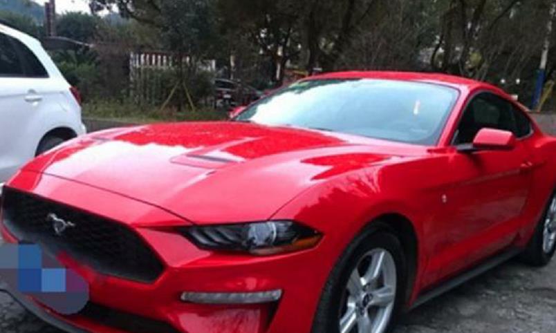 “福特“最新资讯都在这了，就等你来