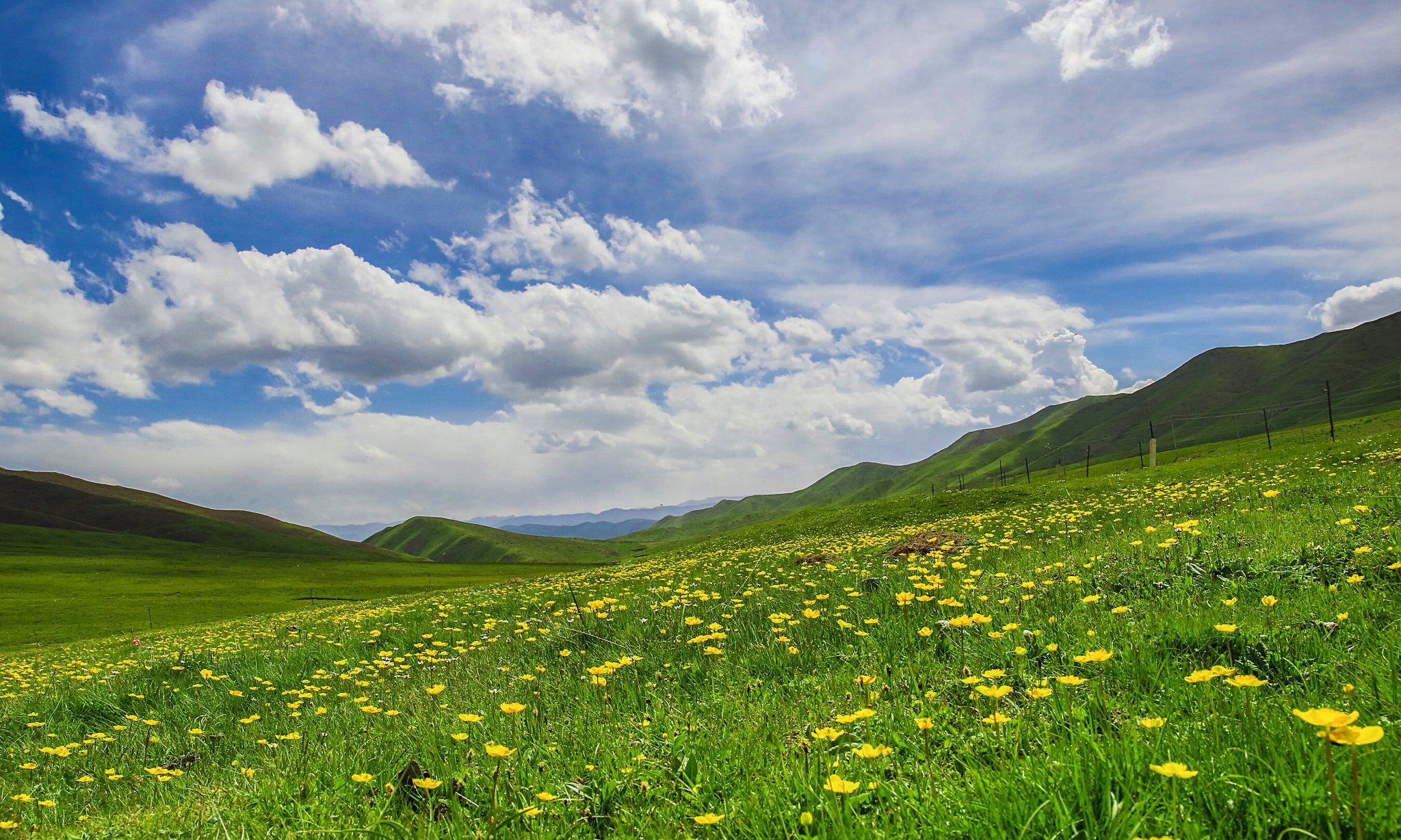 人体结构有哪些不合理的地方？没有丁丁骨可能为之最？...