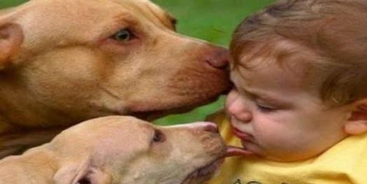 舔什么人口_常住人口登记卡是什么(2)