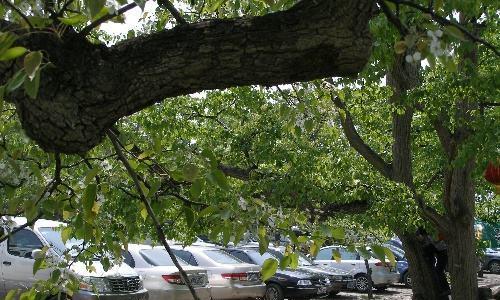 车子长时间停着不开，不注意这些细节你一定会后悔的！