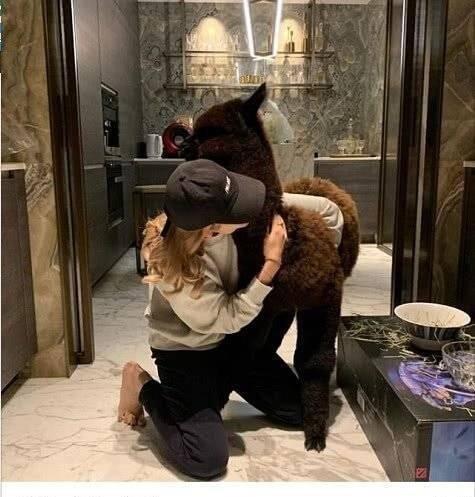 王思聪携女伴现身《即刻电音》现场,正对大张