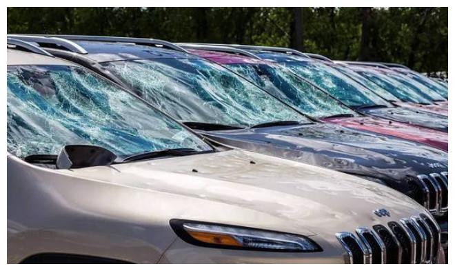 老司机为何不愿买车损险？内行人：吃一次亏，就懂了！