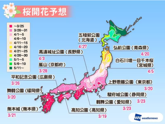 2019年最全日本赏樱路线大放送伊豆前哨的河津樱已然绽放