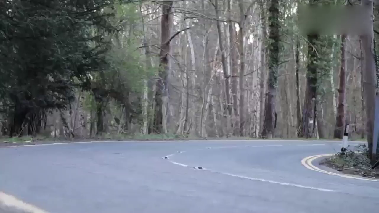 都是高性能 评6款马力强劲的性能车