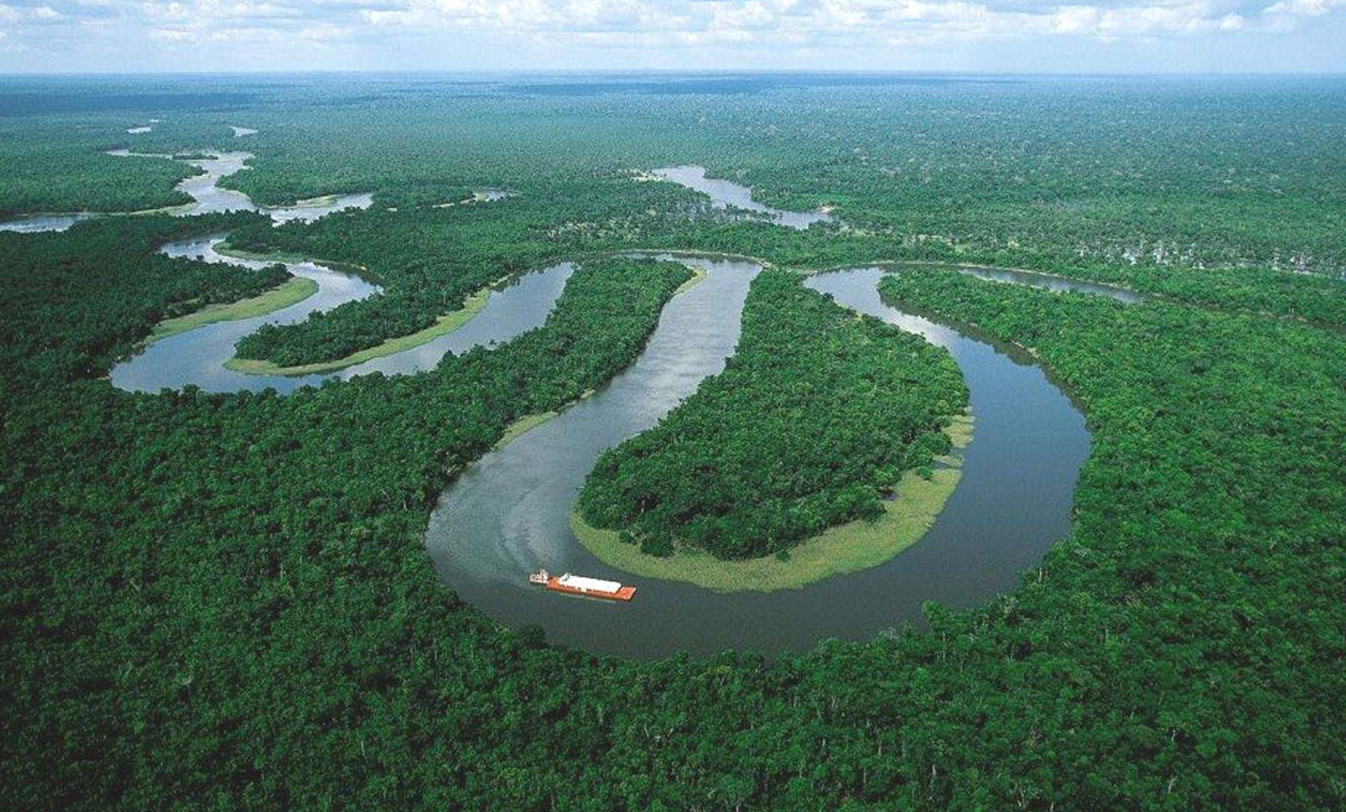 “世界最孤独的人”离世 巴西一土著部落随之灭绝|巴西|亚马孙雨林|管理局_新浪新闻