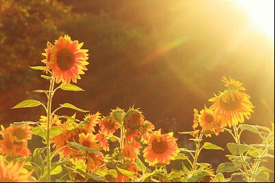 人生,幸福快乐源自于身心健康…