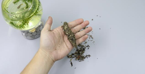 把艾草晒干，真是厉害，现在清楚还不算晚，涨知识了