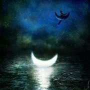 晚风吹凉秋飘叶i