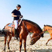 外汇黄金原油全域解析--汪晴远