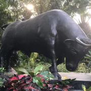 为交易而活