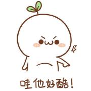 那只兔子又醒了