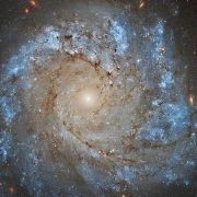 星瀚金融