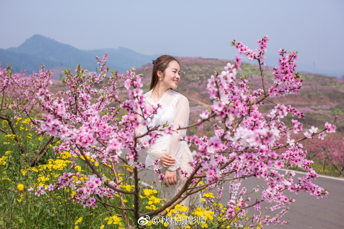 阳春三月看桃花_新浪看点