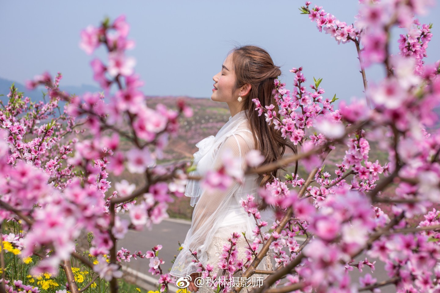 阳春三月看桃花_新浪看点图片