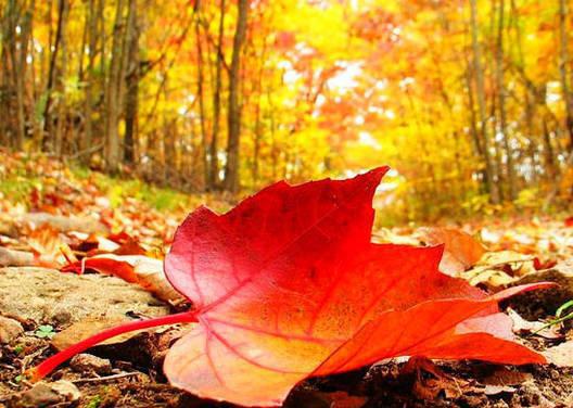 最美的风景“宝沃汽车大美西南 印象之旅”重庆站出发！