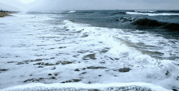 买车跟买饮料一样方便! 马云的