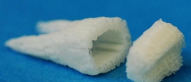 彻底告别假牙 美国哥伦比亚大学成功研制出干