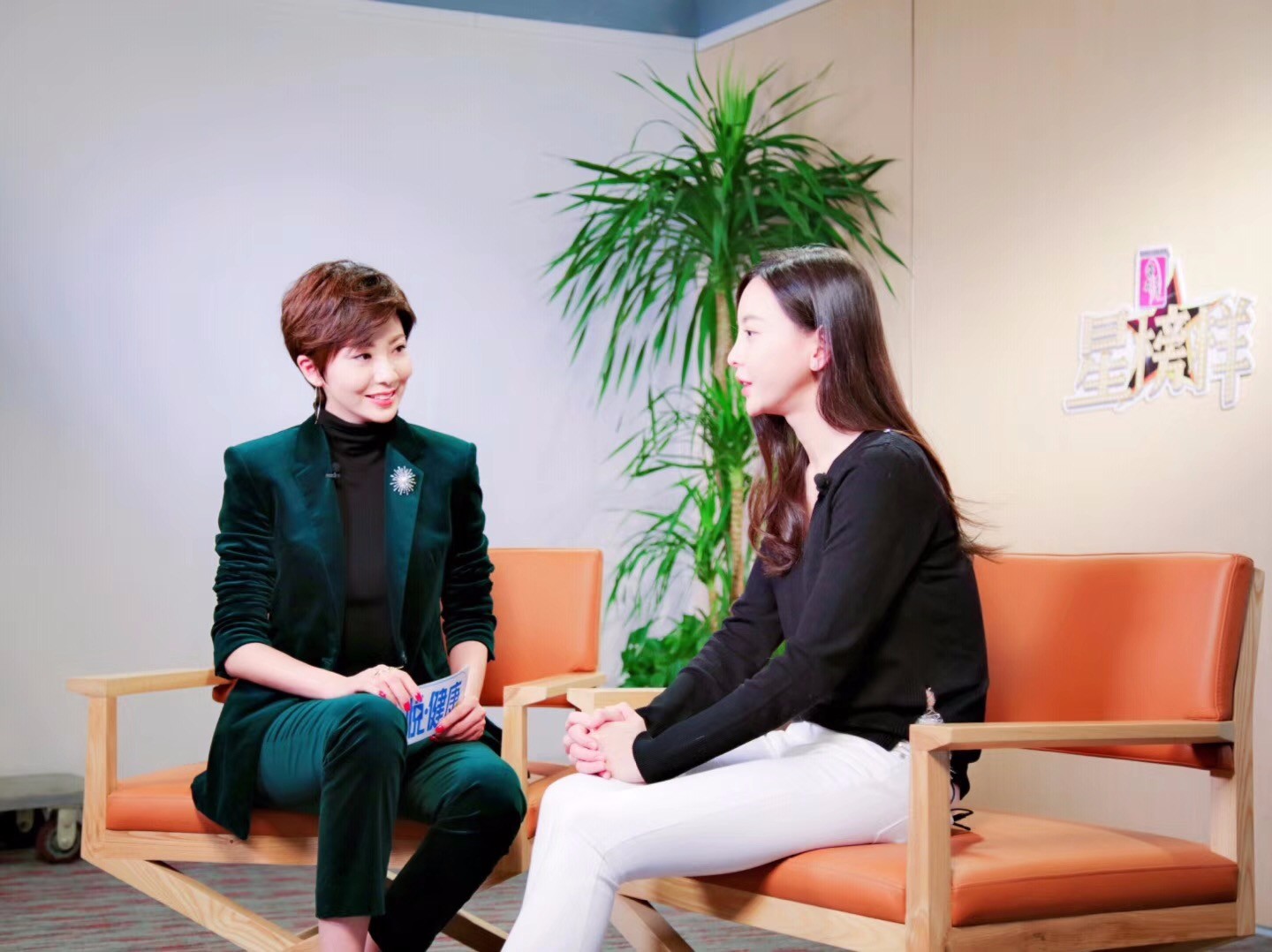 主持人紫檀,演员于文文,2018深圳卫视悦·健康有态度的新视野