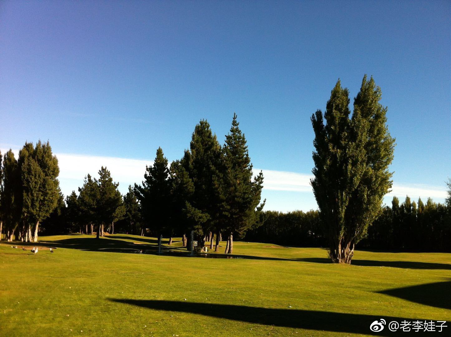 去阿根廷冰川国家公园 ,需从布宜诺斯艾利斯乘
