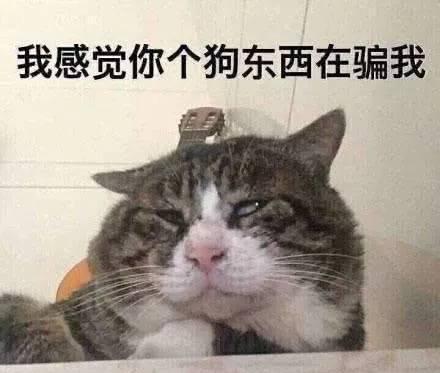 和男生关系的姑娘都有这些太阳,撩妹聊天表情包必备会表情信才发微是什么图图片
