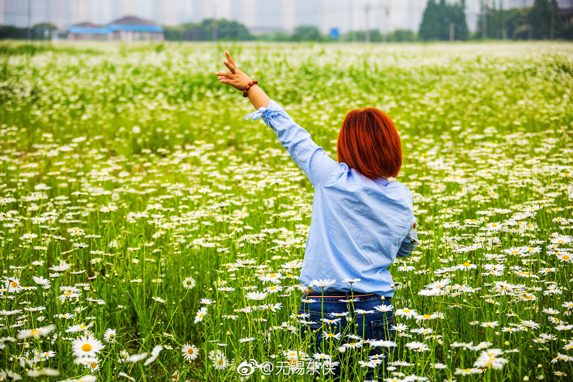 花儿与微笑。请把你的歌带回我的家,请把你的微笑留下