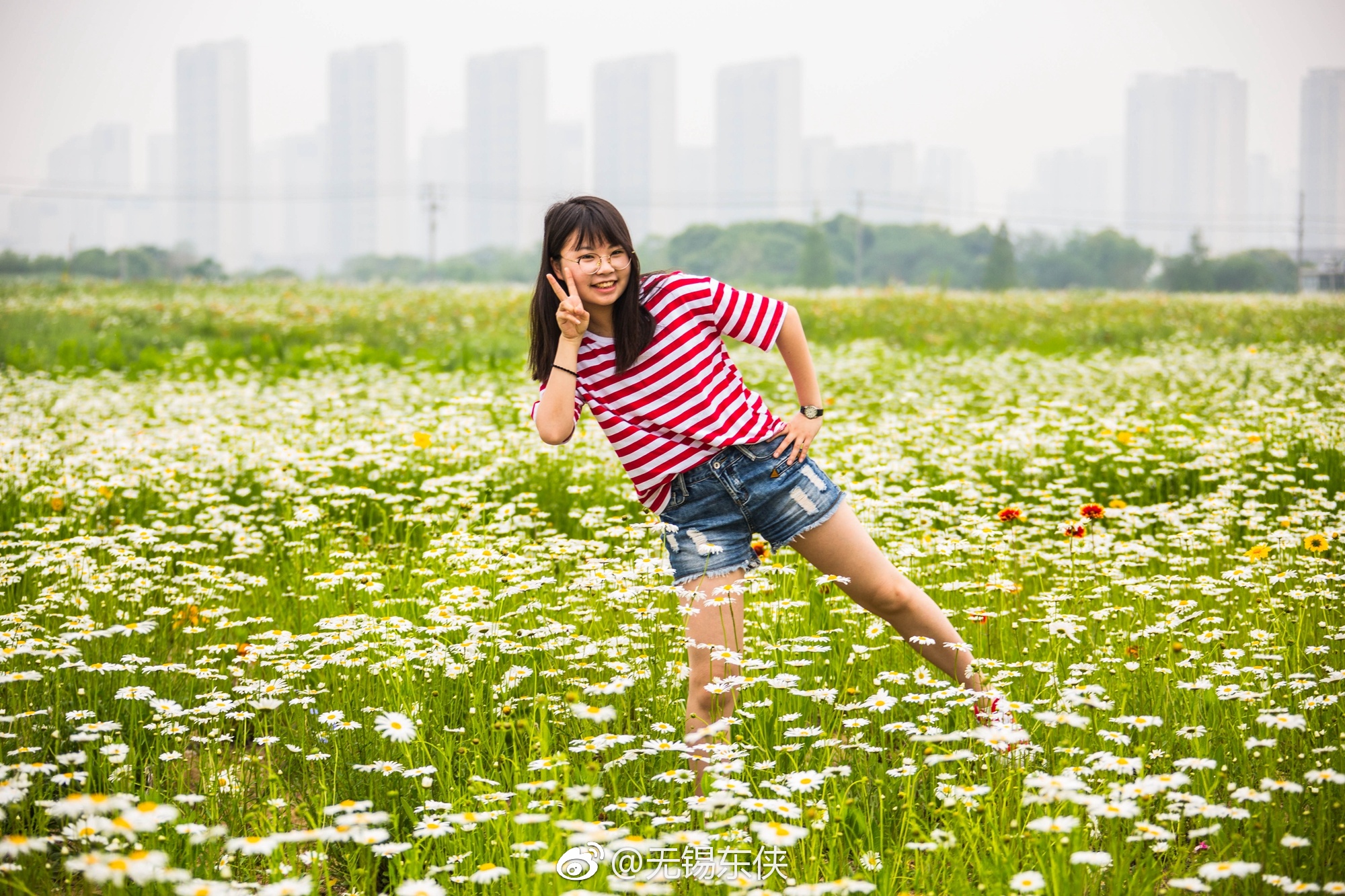 花儿与微笑。请把你的歌带回我的家,请把你的微笑留下