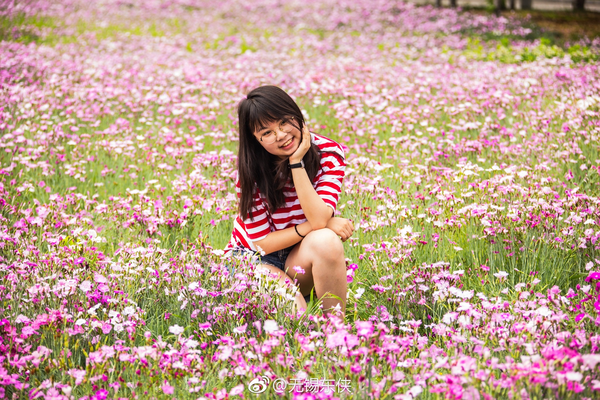 花儿与微笑。请把你的歌带回我的家,请把你的微笑留下