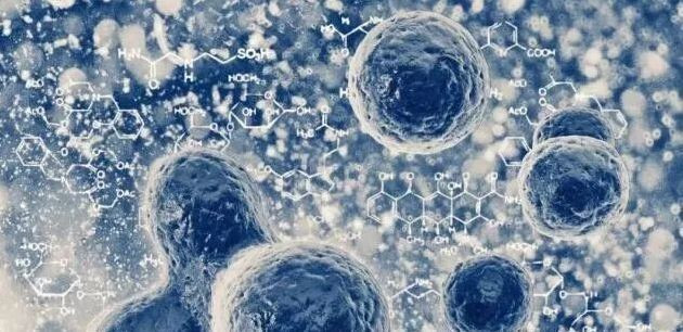 小细胞 大健康--西部医美自体干细胞抗衰论坛