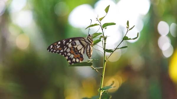 一个人活着的意义不是结论,是每一个经历,每一