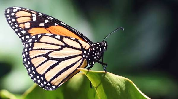 一个人活着的意义不是结论,是每一个经历,每一