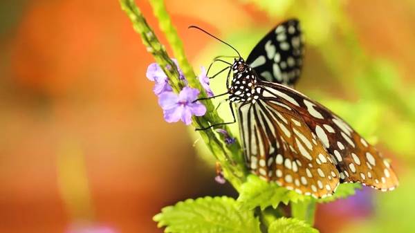 一个人活着的意义不是结论,是每一个经历,每一