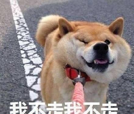 日本男生理想女友标准vs日本女生的理想男友标