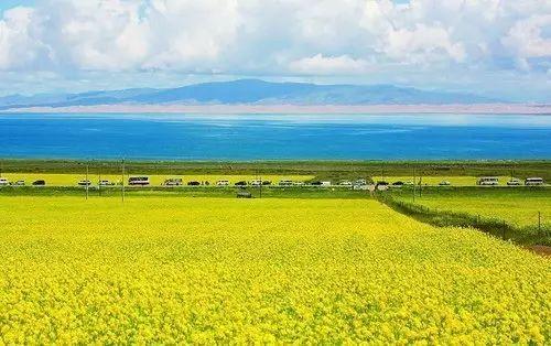 国内7大最美环湖公路,自驾者的终极梦想!你自驾过几条?