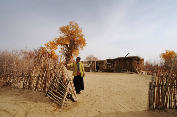 全国最大的村庄,面积与北京故宫相当,坐拥67万