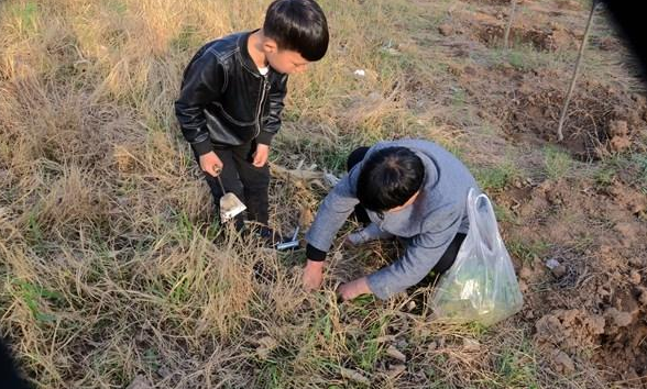 大妈带孙子野地挖蒲公英,说用它泡水好处多,对
