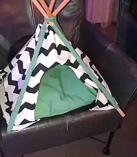 给小猫买了舒适的猫窝,结果不睡里面睡外面,笑