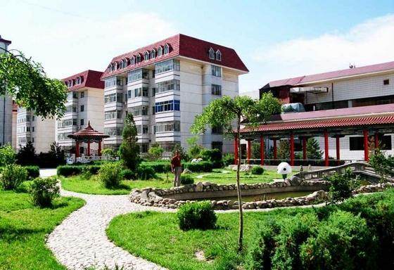 农村合并万人村,但是农民不买单,万人村成了烂