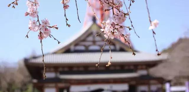 元旦旅行回来,千万不要忘记销签!否则…