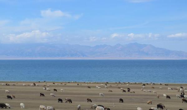 比比 内蒙 新疆 西藏 哪个地方的草原最美